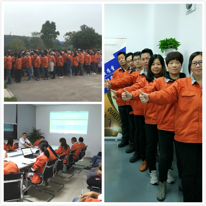 629e5db53a59484c82af6fd13fda4d19